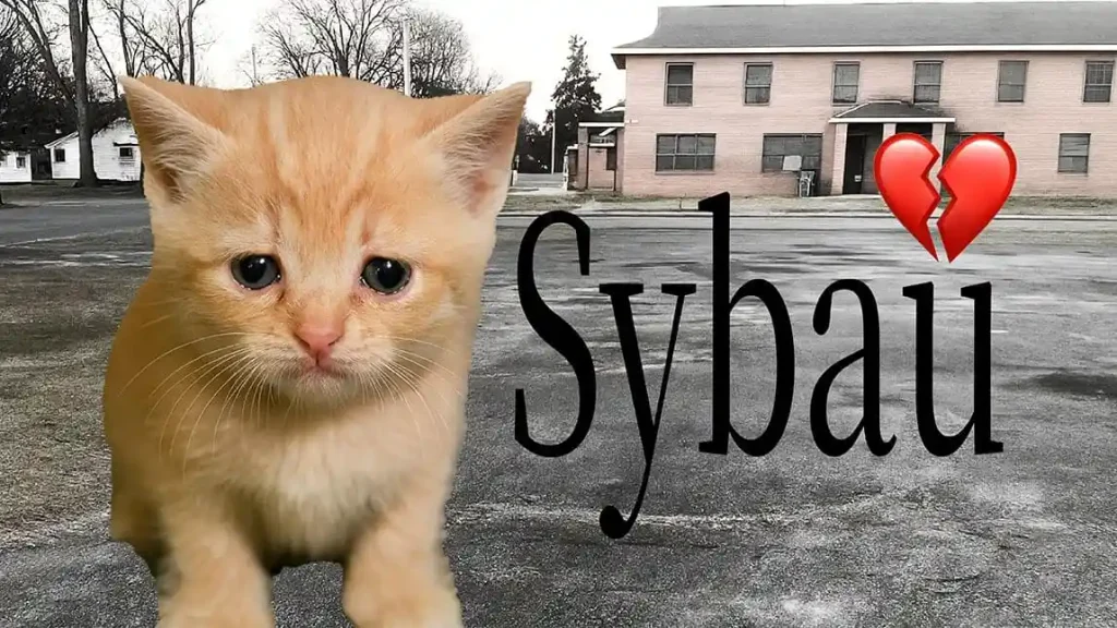SYBAU Meaning: What It Means and How to Create a SYBAU Meme 4 When Should You Use a SYBAU Meme